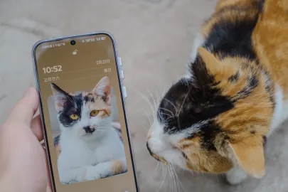 Vesper Kaszinó Mobilalkalmazás